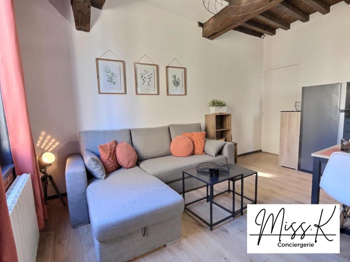 "La Fenetre Sur Le Marche" De Miss.K Conciergerie Apartment Chatillon-sur-Chalaronne Luaran gambar